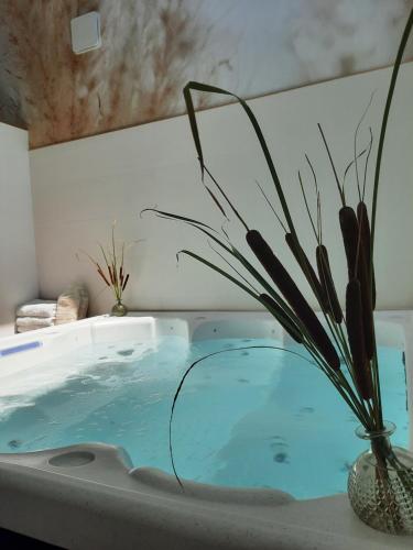 a tub with a potted plant sitting in it at gîte grange le Kulmino in Notre-Dame-de-Monts