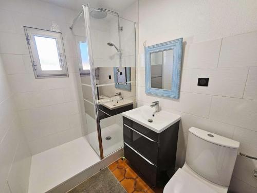 une salle de bain avec toilettes, lavabo et douche dans l'établissement Bel appartement, 4 couchages, lumineux, 500 m de la plage et des commerces..., à Saint-Mandrier-sur-Mer