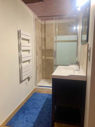 une salle de bain avec un lavabo et une douche dans l'établissement Chateau de Lugérat - 4 chambres - 2 et 3 personnes, à Montignac-Charente