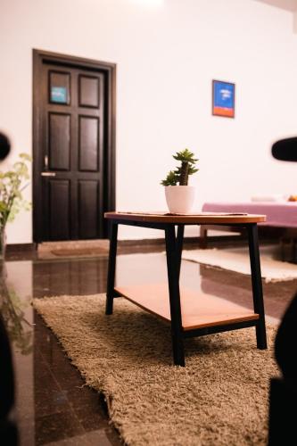 a table with a potted plant sitting on top of a rug at Akim Homestay in Kohīma