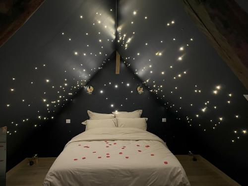 a bedroom with a bed with lights on the wall at L'Écrin d'Azurite in Saint-Clair-sur-les-Monts