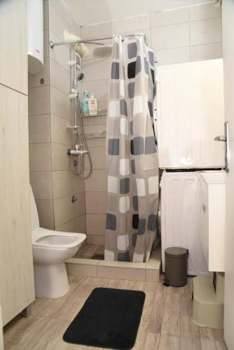 a bathroom with a shower curtain and a toilet at Apartman K2 in Valjevo