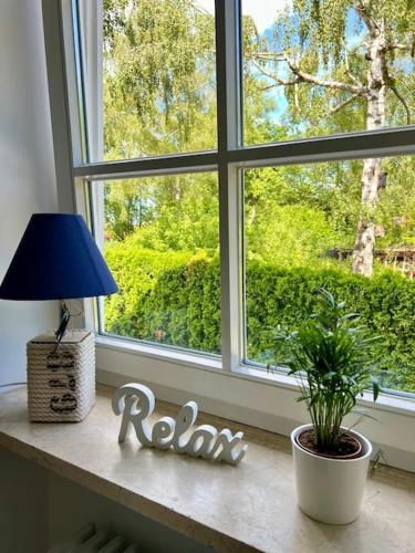 a table with a lamp and a plant in front of a window at bloom - klein und fein mit Seezugang u WLAN in Wörthsee