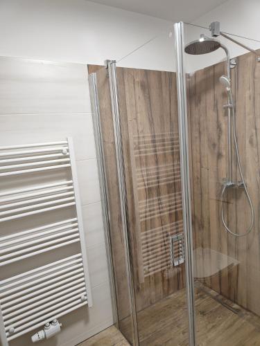 a shower in a bathroom with a glass door at Hotel-Bad Goisern in Bad Goisern