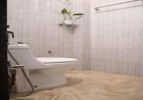 a bathroom with a toilet and a plant on a shelf at Akim Homestay in Kohīma