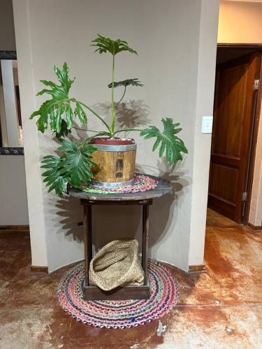 a table with a potted plant on top of it at Hoedspruit Unit 37 in Hoedspruit