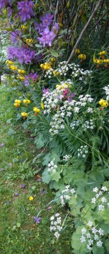 a garden filled with lots of different colored flowers at Aquila Retreats in Comrie