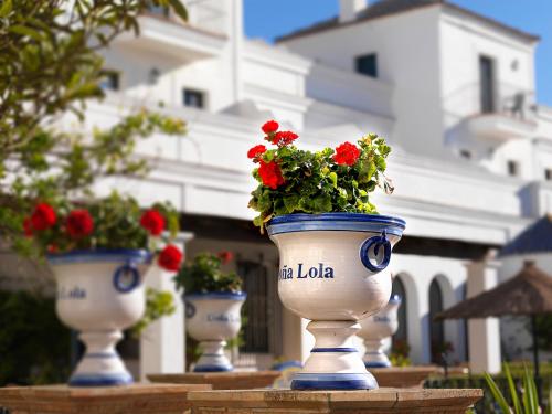a group of flower pots with red flowers in them at Hotel Doña Lola Zahara in Zahara de los Atunes