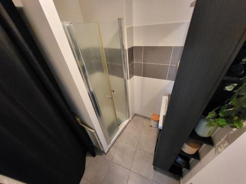 a walk in shower in a bathroom with a glass door at Le Pont Ravet in Bernay