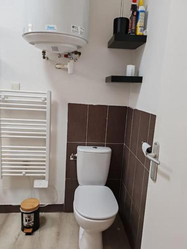 une salle de bain avec toilettes et lavabo dans l'établissement Charmant T2 RDC, à Brest