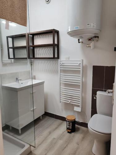 une petite salle de bain avec toilettes et lavabo dans l'établissement Charmant T2 RDC, à Brest