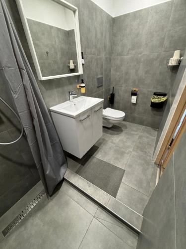 a bathroom with a sink and a toilet at Benjamin Apartman in Budapest