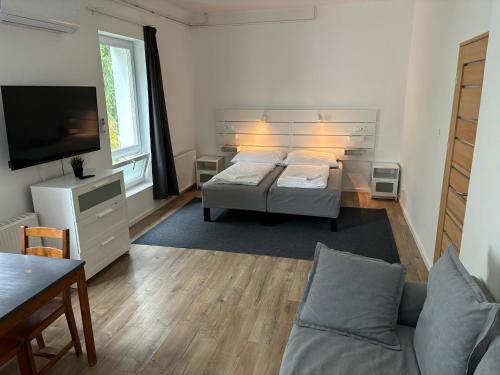 a living room with a bed and a tv at Benjamin Apartman in Budapest