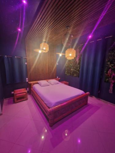 Ένα ή περισσότερα κρεβάτια σε δωμάτιο στο Suite Tropicale avec jacuzzi YaoSpa60