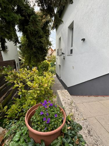 a flower pot sitting on a wall next to a building at Benjamin Apartman in Budapest