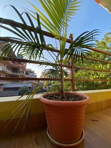 Imagen de la galería de Hotel Greenlight, en Sauraha