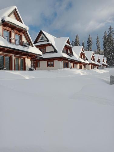 a row of houses covered in snow at Domki Pod Lasem Podhale in Zakopane