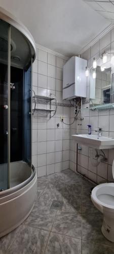 a bathroom with a shower and a toilet and a sink at Udobna kuca Sarajevo Baščaršija in Sarajevo
