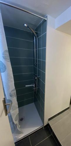 une salle de bain avec une douche avec une porte vitrée dans l'établissement Gîte à la campagne, à Saint-Péray