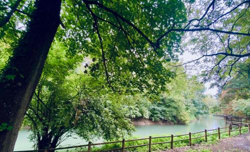 a river with a fence next to a body of water at Le Hameau Arribas in Condé-Sainte-Libiaire