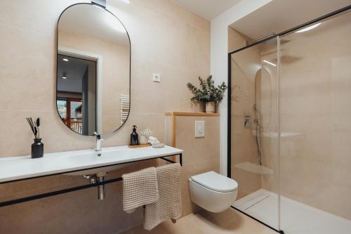 a bathroom with a shower and a toilet and a mirror at Goldhorn Chalet SKI IN&OUT in Kranjska Gora