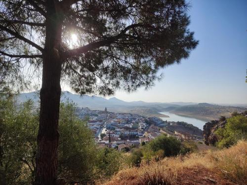 Φυσικό τοπίο κοντά σε αυτό το διαμέρισμα