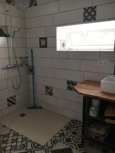 une salle de bain avec douche et fenêtre dans l'établissement Petit gîte cosy au bord du ruisseau, à Burey-en-Vaux