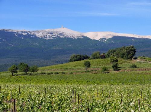 a field of crops with mountains in the background at Un petit coin de Paradis in Mazan