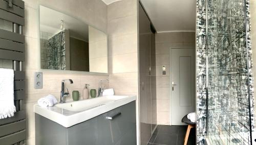 une salle de bain avec un lavabo et une douche dans l'établissement Maison de ville spacieuse & cosy, à LʼIsle-sur-la-Sorgue