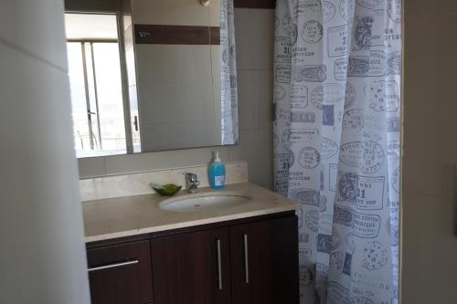a bathroom with a sink and a mirror and a shower curtain at Pontoni Providencia in Santiago