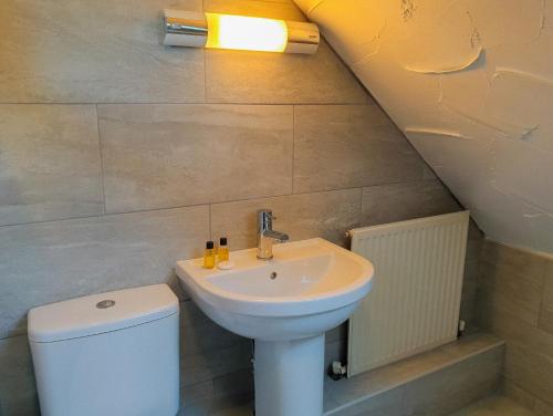a bathroom with a sink and a toilet at Clyne Farm Centre in The Mumbles