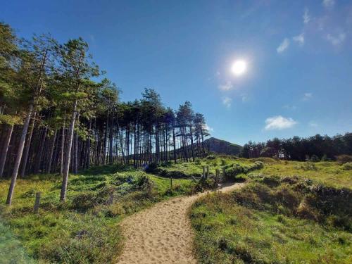 a dirt road in a field with trees at Clyne Farm Centre in The Mumbles