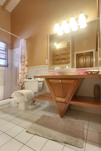 a bathroom with a sink and a toilet and a mirror at Mary's Boon Beach Resort & Spa in Simpson Bay