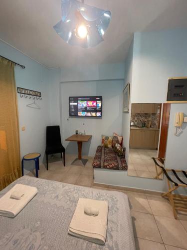 Micro-Studio
