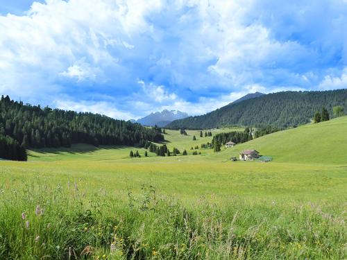 a green field with a house in the middle of it at Apartment With Garden, Del Corlo Lake, Belluno in Primolano