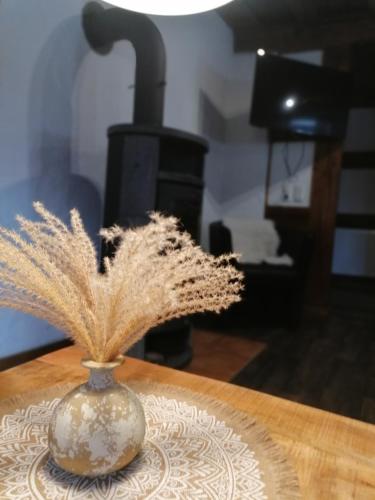a vase on a table with a feather in it at Ferienwohnung Annalena in Gößweinstein