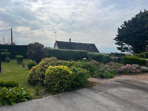 un jardin avec des buissons et des fleurs devant une maison dans l'établissement Le Havre de Paix, à Fermanville
