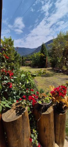 a garden with flowers in pots on wooden logs at Refúgio Mantiqueira - Parte Alta Parque Nacional Itatiaia in Itamonte