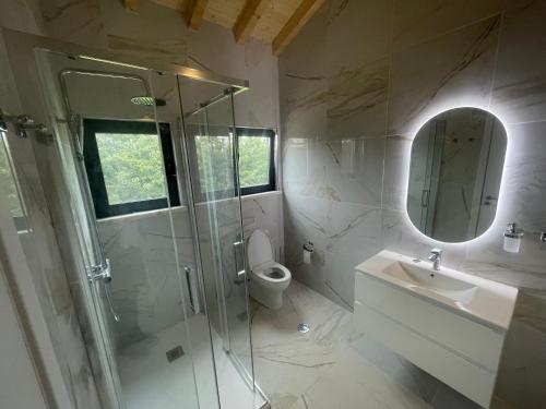 a bathroom with a shower and a sink and a toilet at Quinta Pura Natura in Alqueidão de Santo Amaro