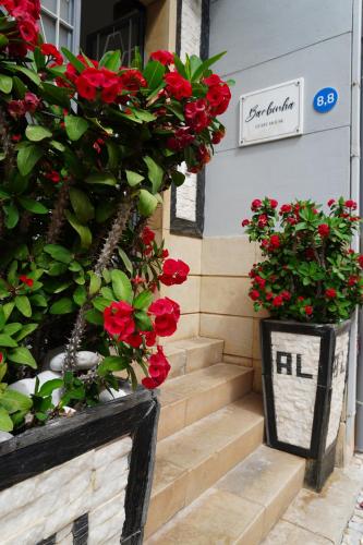two flowerpots with red flowers on the steps of a building at AL Barbinha in Faro