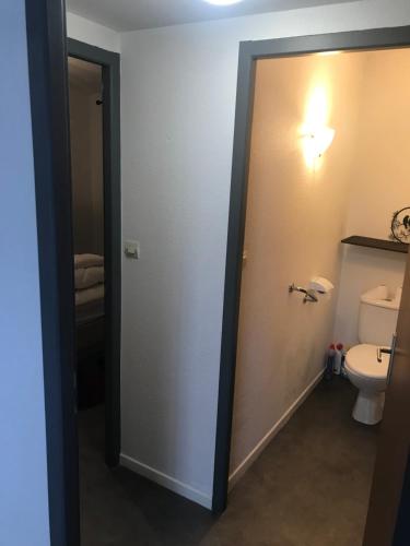 La salle de bains est pourvue de toilettes. dans l'établissement Cœur de ville, à Mont-de-Marsan