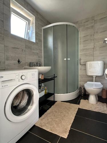 a bathroom with a washing machine and a toilet at Retro room-Otok Vis in Podstražje