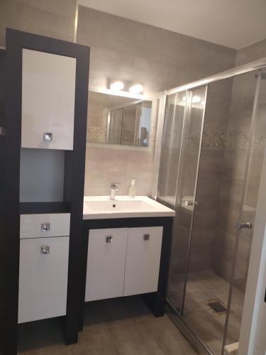 une salle de bain avec un lavabo et une douche dans l'établissement T2 ile cannes marina Mandelieu, à Mandelieu-la-Napoule