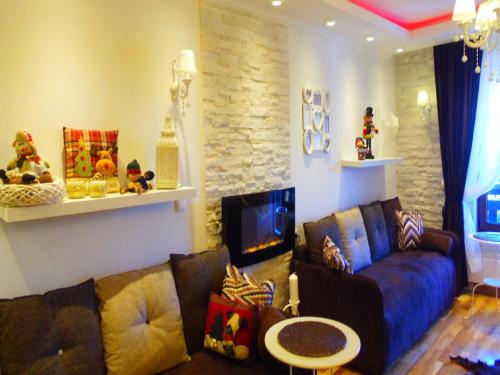 a living room with a couch and a fireplace at Visnja Apartment in Kopaonik
