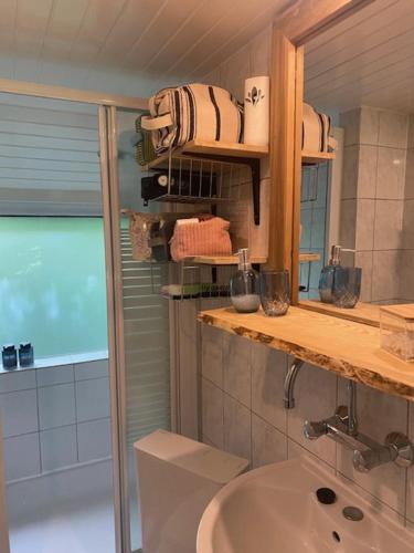 een badkamer met een wastafel, een douche en een spiegel bij Chalet 228 in Durbuy