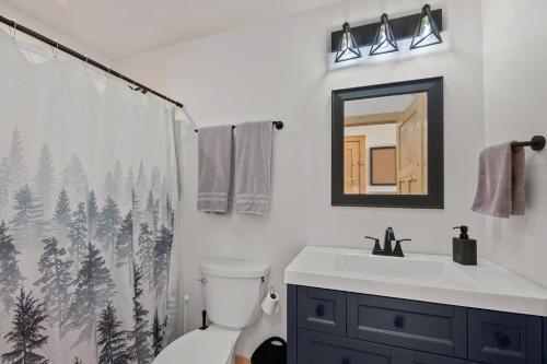 a bathroom with a toilet and a sink and a mirror at Driftwood Cabin near Eagle River, WI in Saint Germain