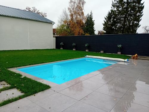 a swimming pool in a yard with a dog standing next to it at La chambre de Flore in Arras