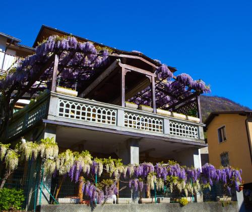a bunch of purple flowers on a building at Altavilla Locanda E Tipica Trattoria in Bianzone