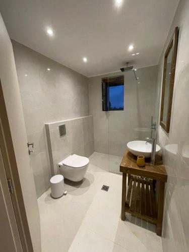 a bathroom with a toilet and a sink at Miltilon in Synikia Mesi Trikalon