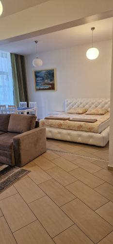 パランガにあるPalanga Apartaments - Mickevičiaus 8のベッド2台とソファのあるリビングルーム